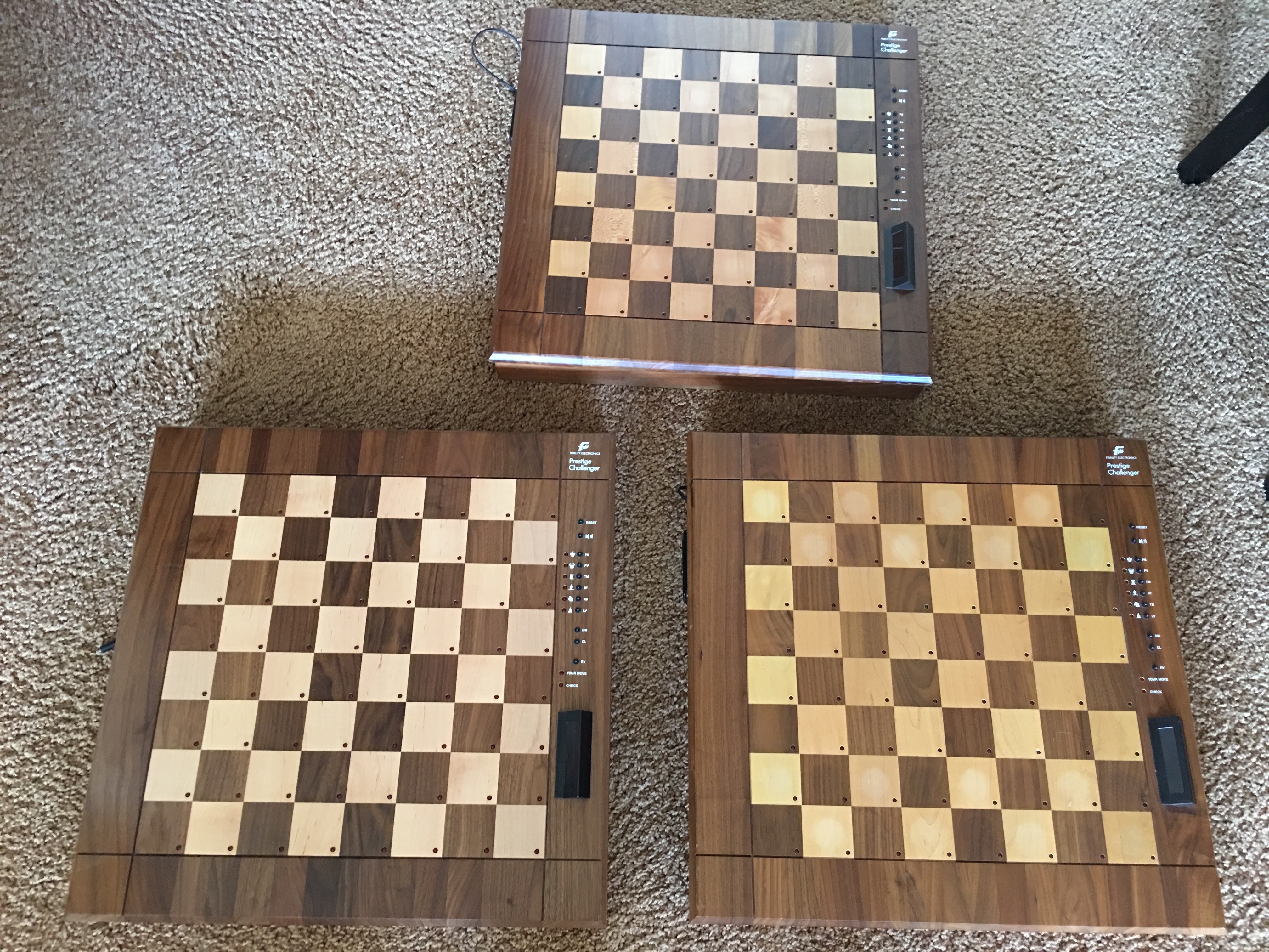 The three Prestige specimens photographed together.