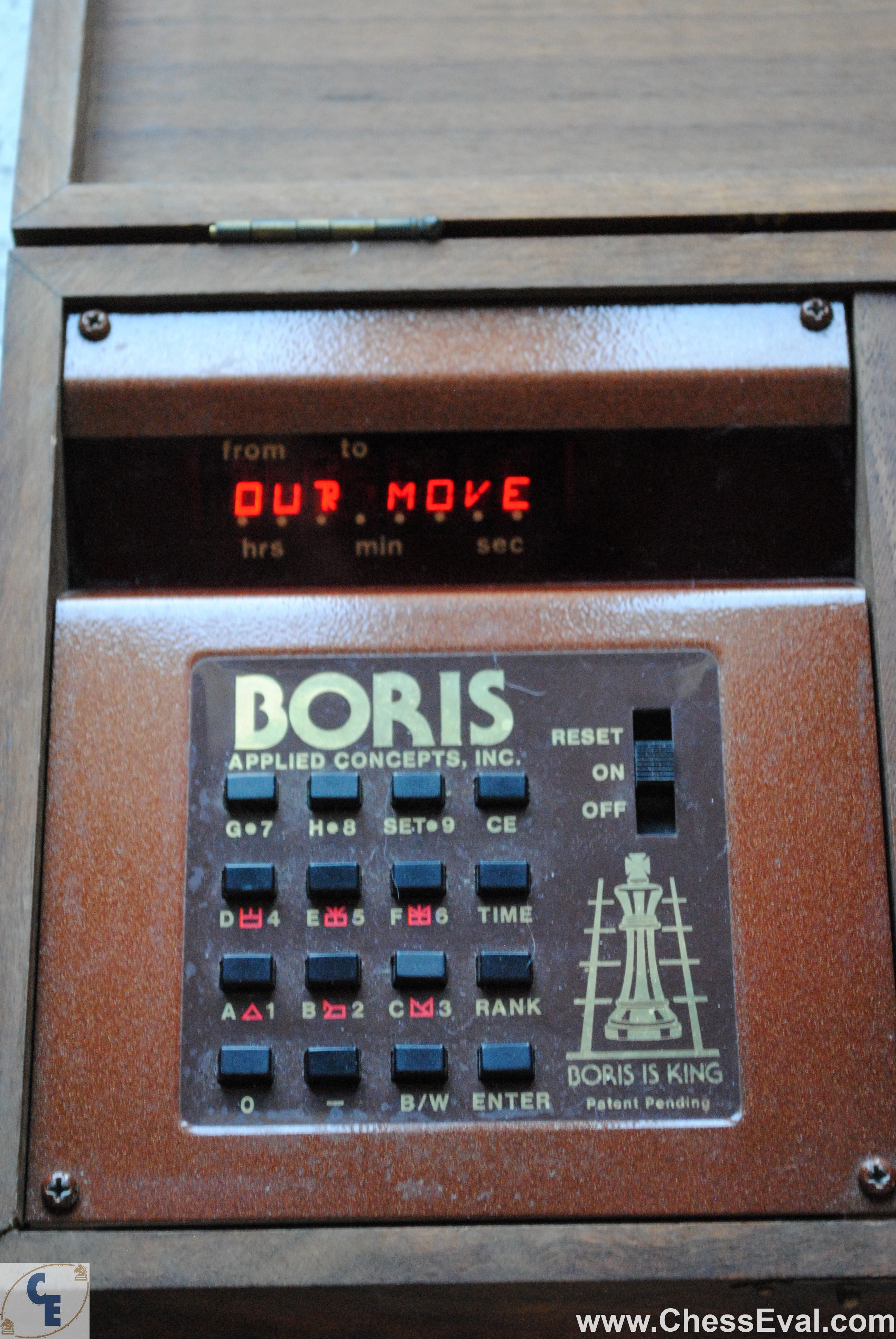 Chafitz Boris is King with Boris Awaits Your Move — Boris is King with %22Boris Awaits Your Move%22 -3.jpeg